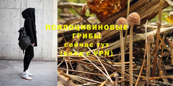 MESCALINE Белокуриха