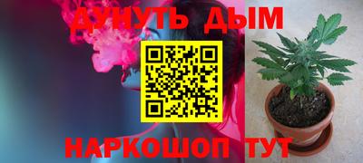 бошки Будённовск