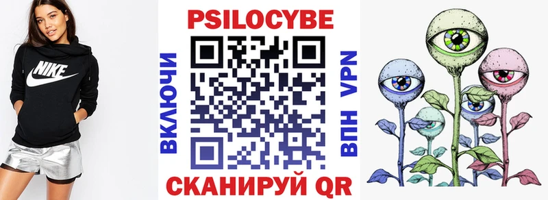Псилоцибиновые грибы Psilocybe  Горно-Алтайск 