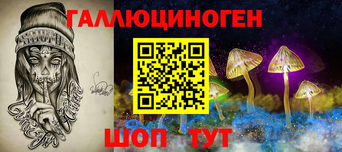 Псилоцибиновые грибы Cubensis  Горно-Алтайск 