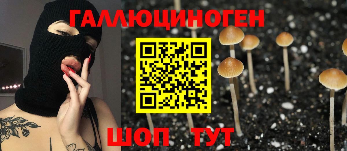 Галлюциногенные грибы прущие грибы Горно-Алтайск