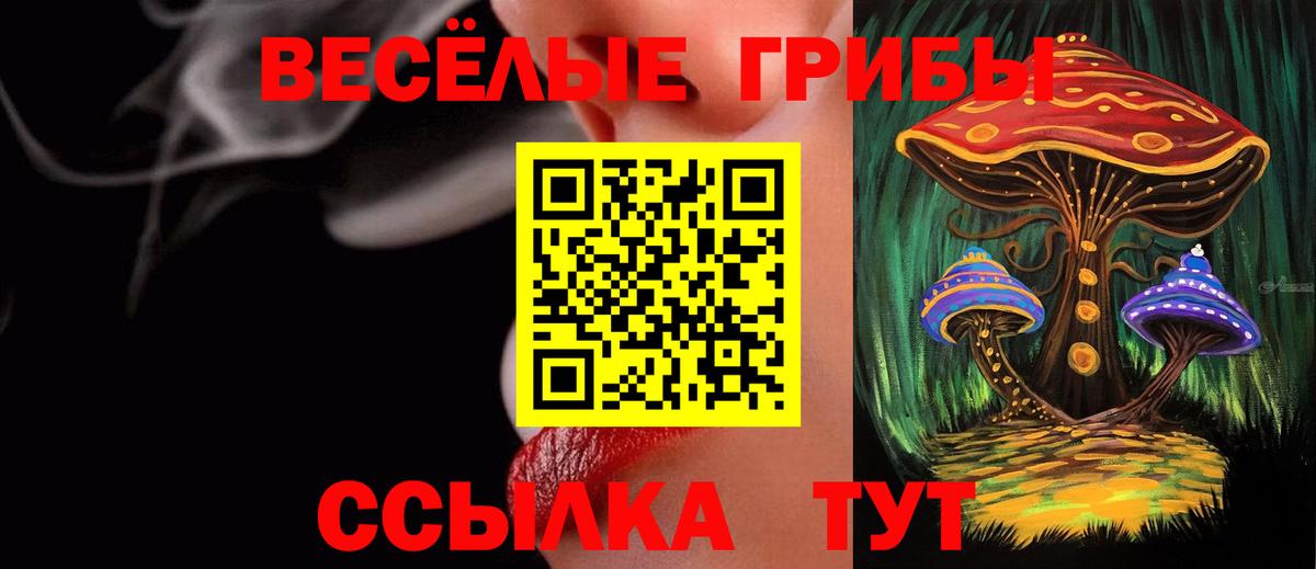 Галлюциногенные грибы мицелий Горно-Алтайск