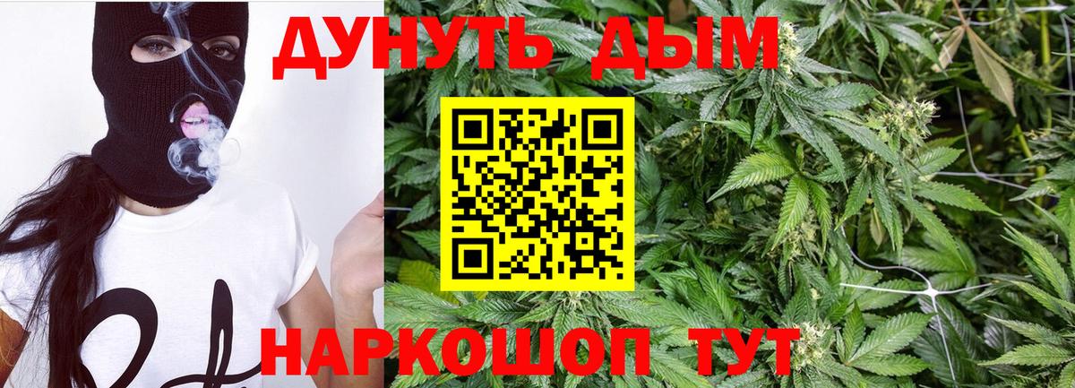 Бошки Шишки сатива Горно-Алтайск